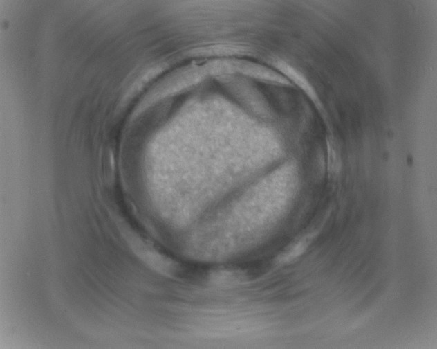 X0000076310109200610271949