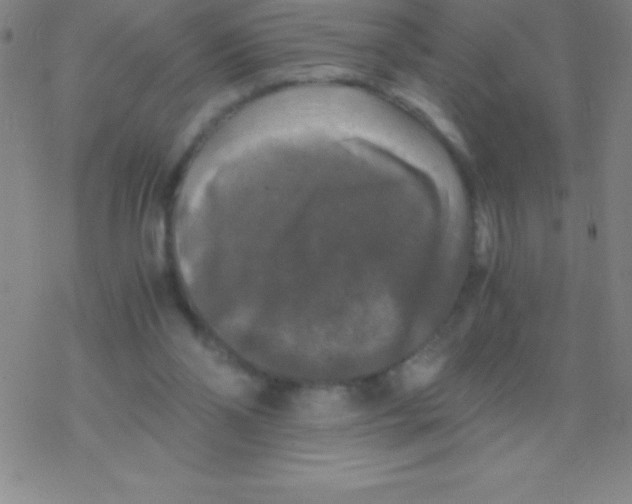 X0000076310110200610271949