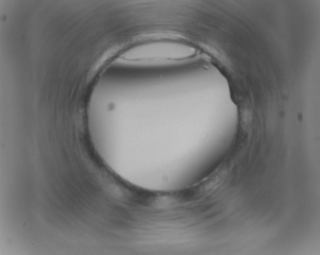 X0000076310111200610271949