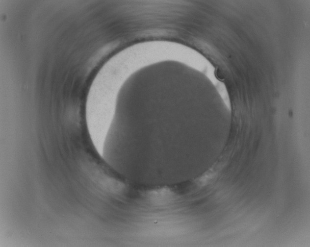 X0000076310112200610271949