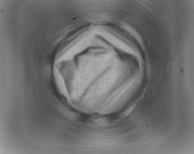 X0000076310113200610271949