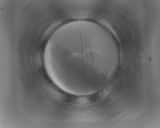 X0000076310114200610271949