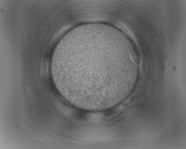 X0000076310115200610271949