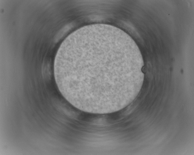 X0000076310116200610271949