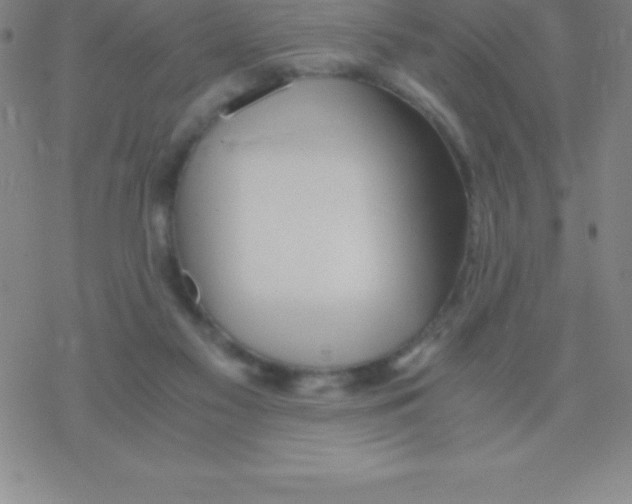 X0000076310117200610271949