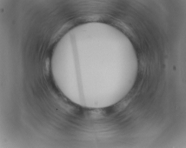 X0000076310118200610271949