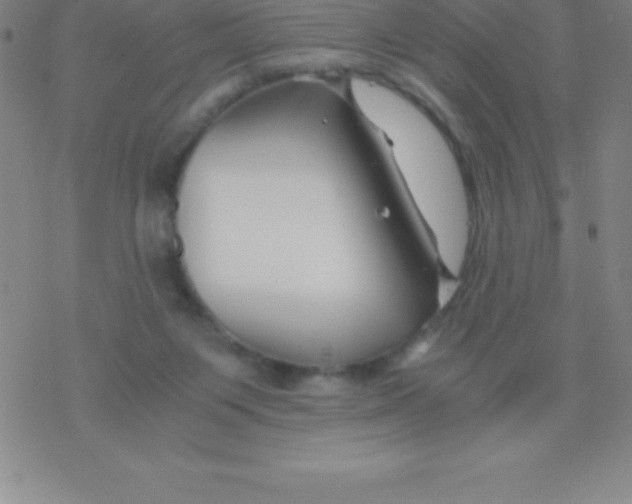 X0000076310119200610271949