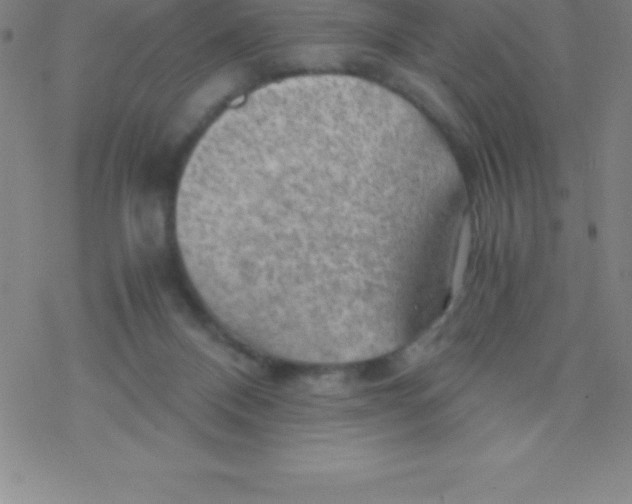 X0000076310120200610271949