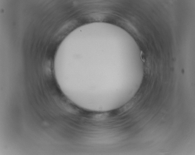 X0000076310122200610271949