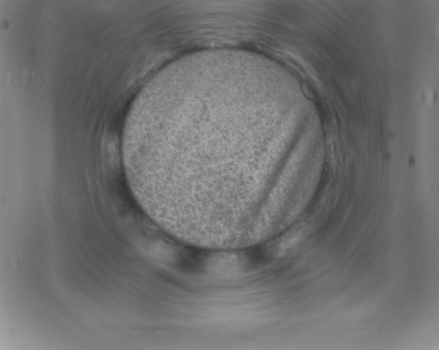 X0000076310123200610271949