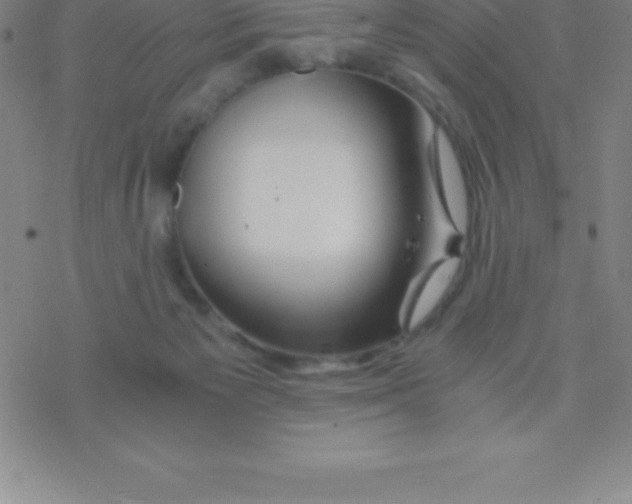 X0000076310125200610271949