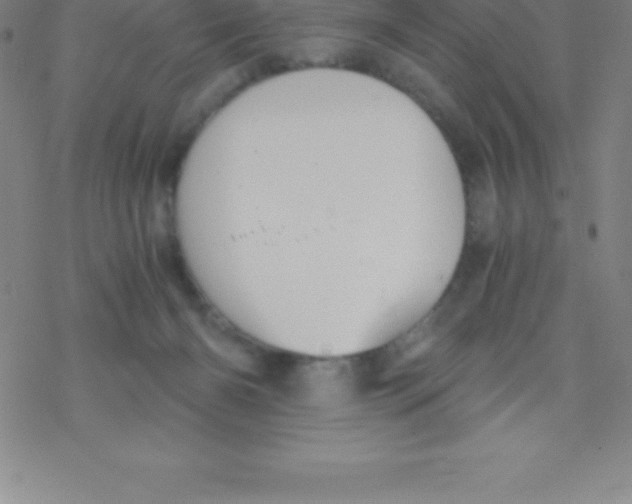 X0000076310126200610271949