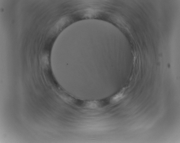 X0000076310127200610271949