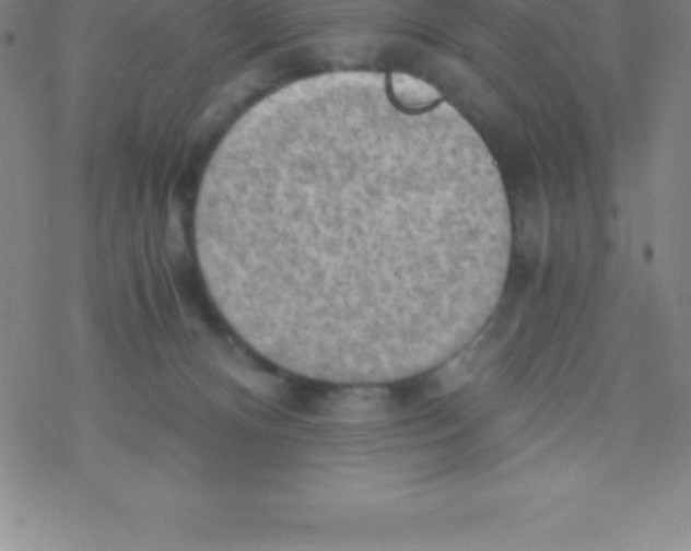 X0000076310128200610271949