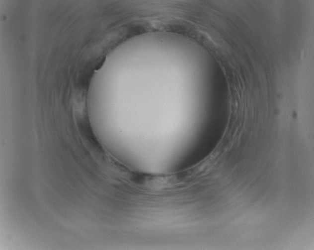 X0000076310129200610271949