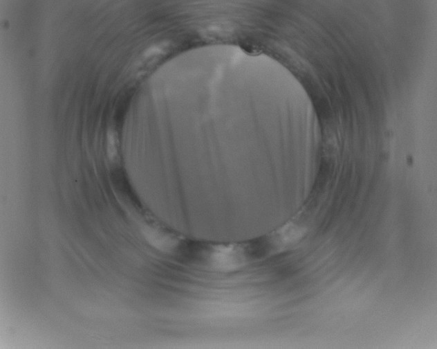 X0000076310130200610271949