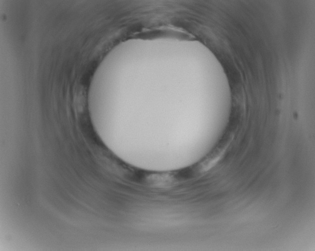 X0000076310133200610271949