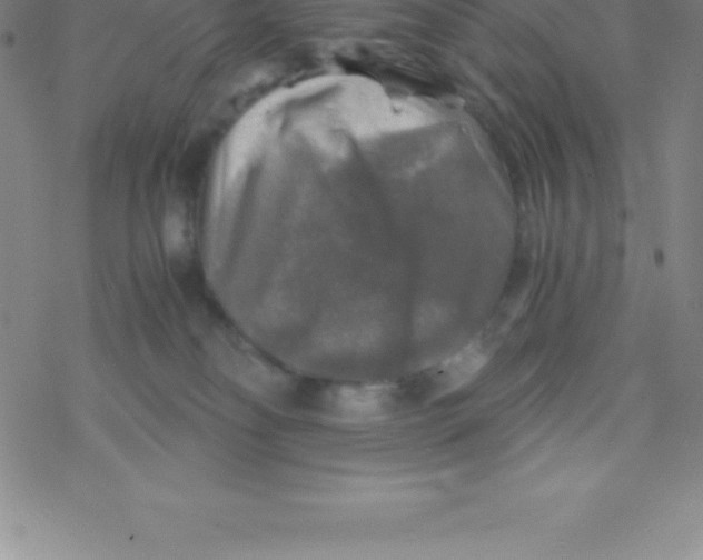 X0000076310134200610271949