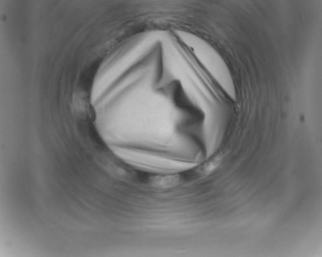 X0000076310135200610271949