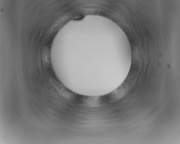 X0000076310138200610271948