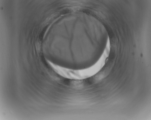 X0000076310139200610271948