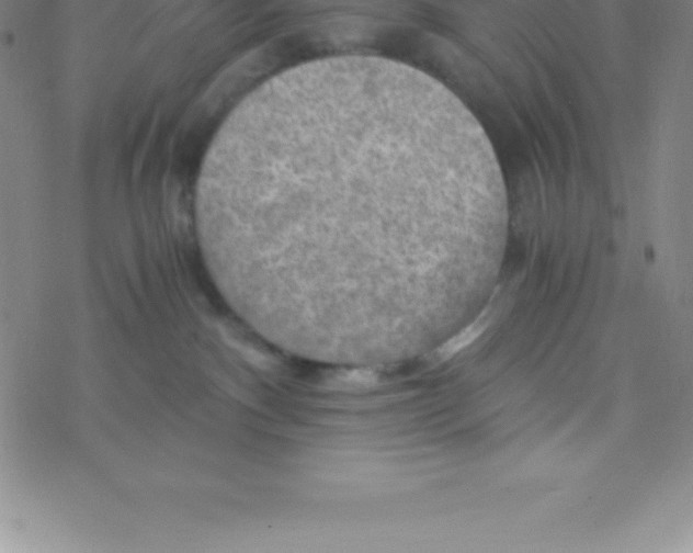 X0000076310140200610271948