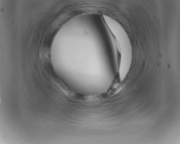 X0000076310141200610271948