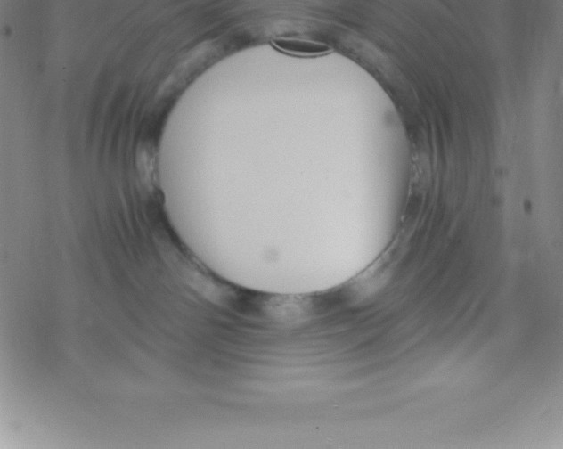 X0000076310142200610271948