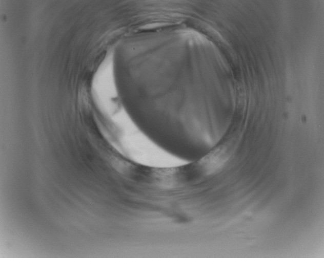 X0000076310143200610271948