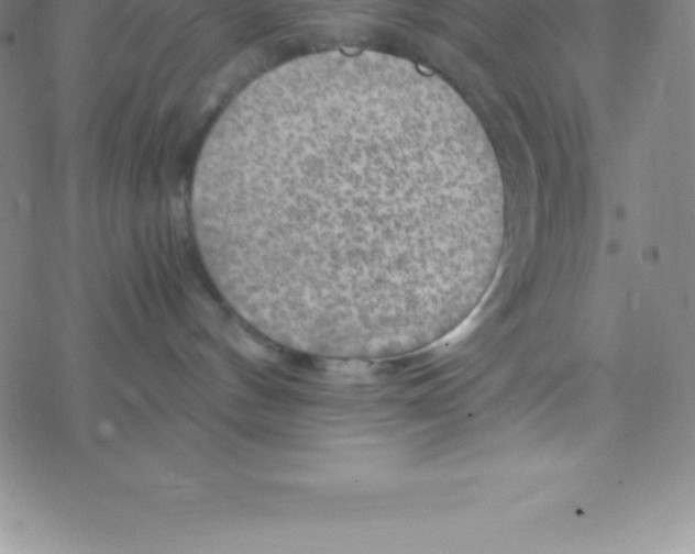 X0000076310144200610271948