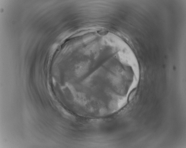 X0000076310145200610271948