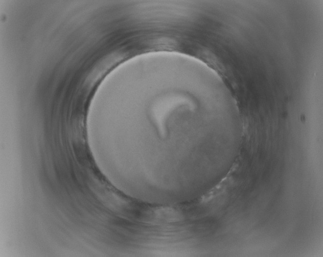 X0000076310146200610271948