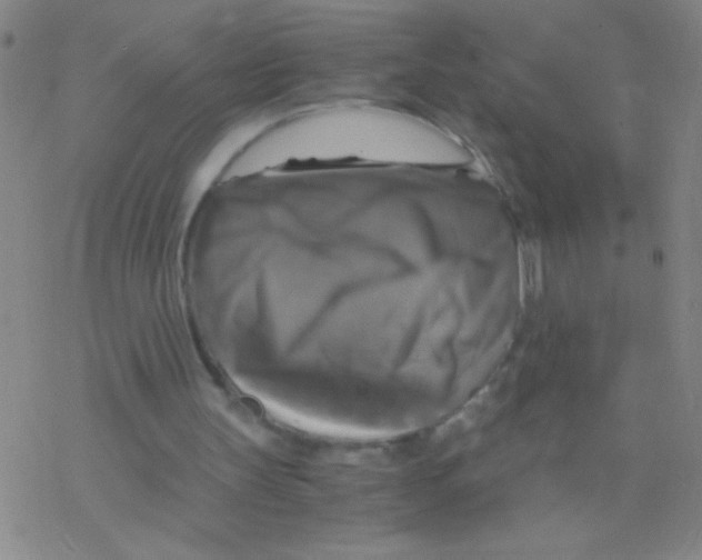 X0000076310147200610271948