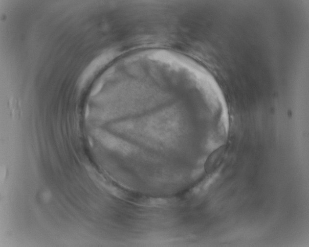 X0000076310149200610271948