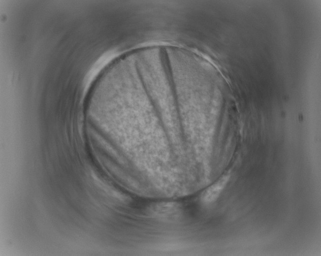 X0000076310152200610271948