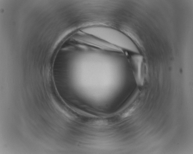 X0000076310156200610271948