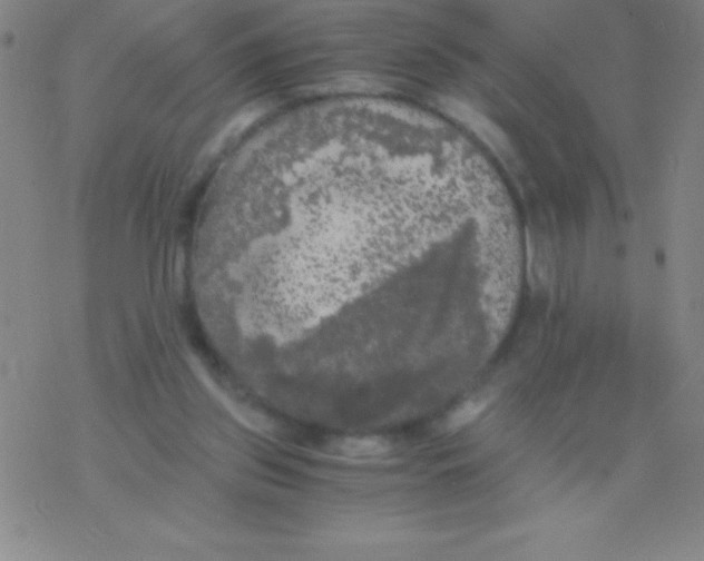 X0000076310157200610271948