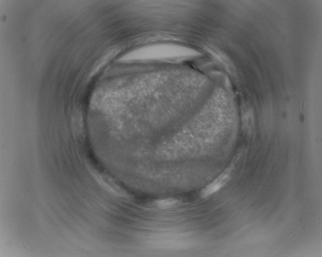 X0000076310158200610271948