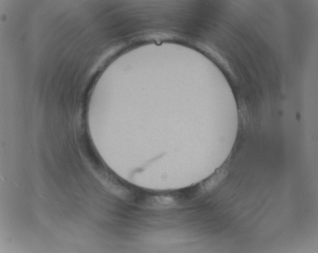 X0000076310159200610271948