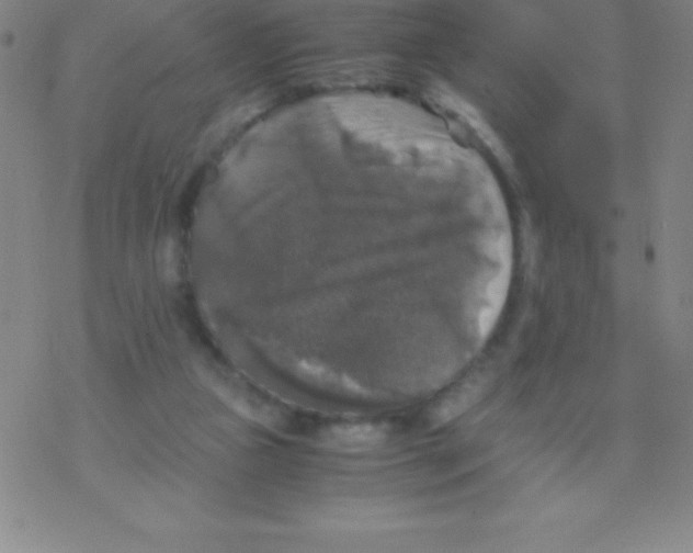 X0000076310161200610271948