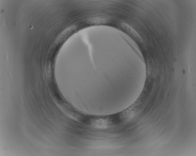 X0000076310163200610271948