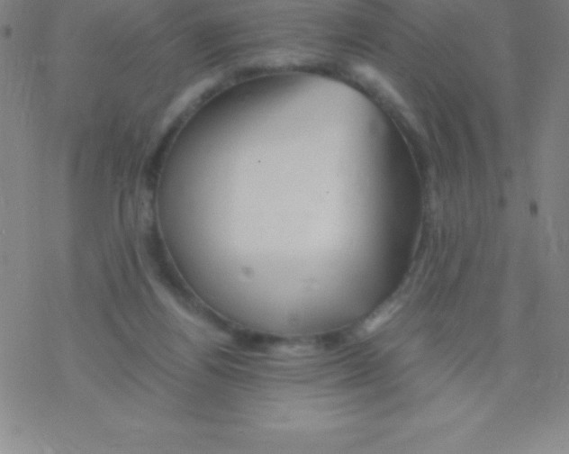 X0000076310164200610271948