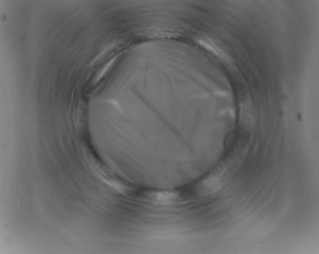 X0000076310165200610271948