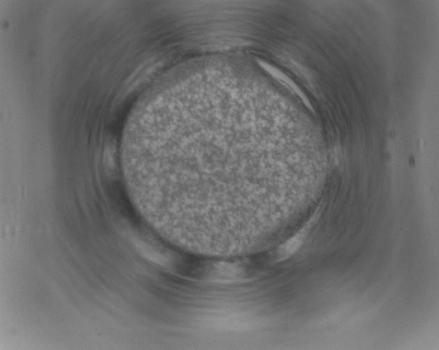 X0000076310166200610271948