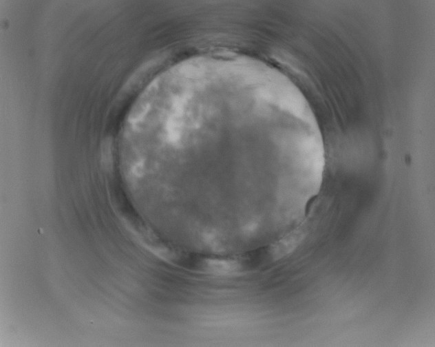 X0000076310167200610271948