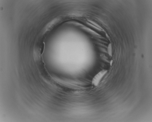 X0000076310168200610271948