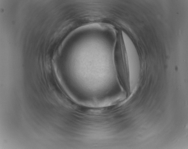 X0000076310170200610271948