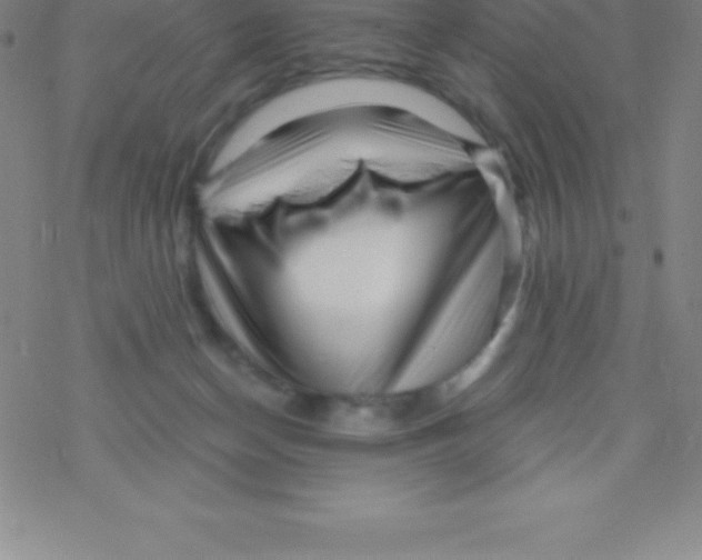 X0000076310174200610271948