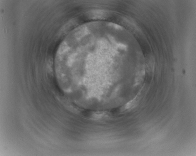 X0000076310175200610271948