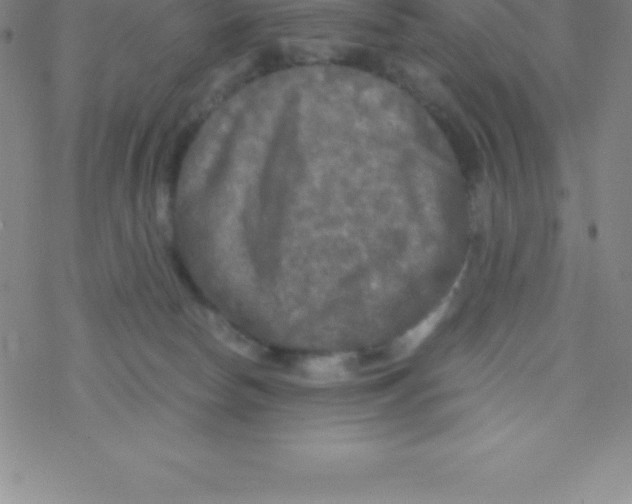 X0000076310178200610271948